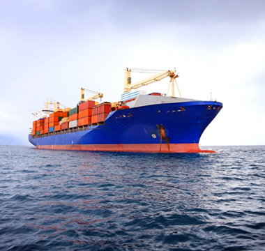 Exhibition Freight Forwarding – Bluemax Cargo